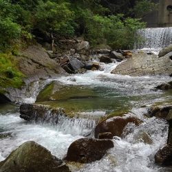 渓流ベイトフィネス初挑戦